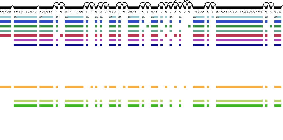 variant graph with annotation - first genes