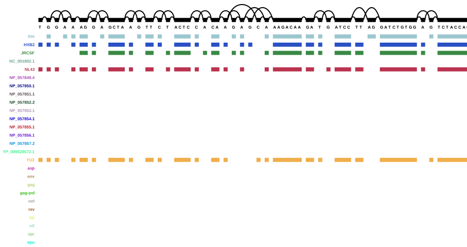 variant graph with annotation - start