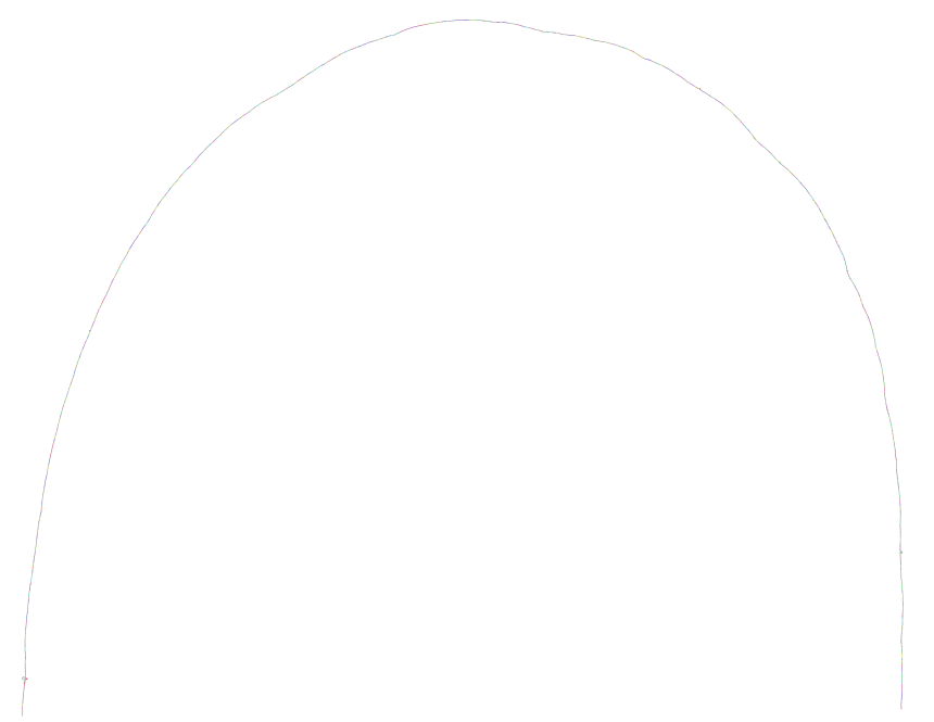 variant graph in Bandage