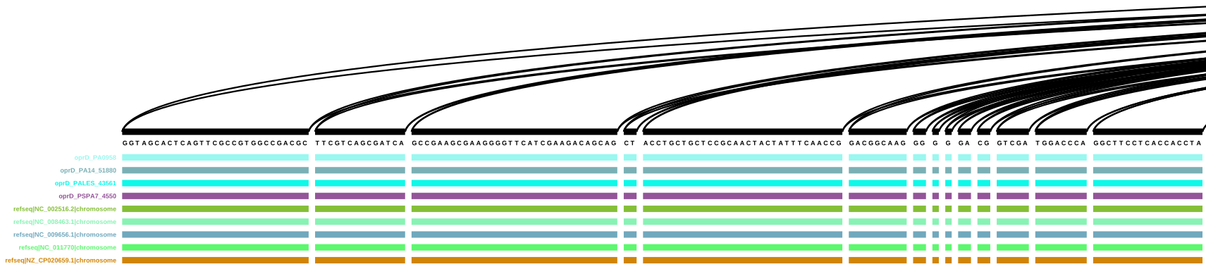 Start of the vg viz representation of a sub-graph with four oprD paths