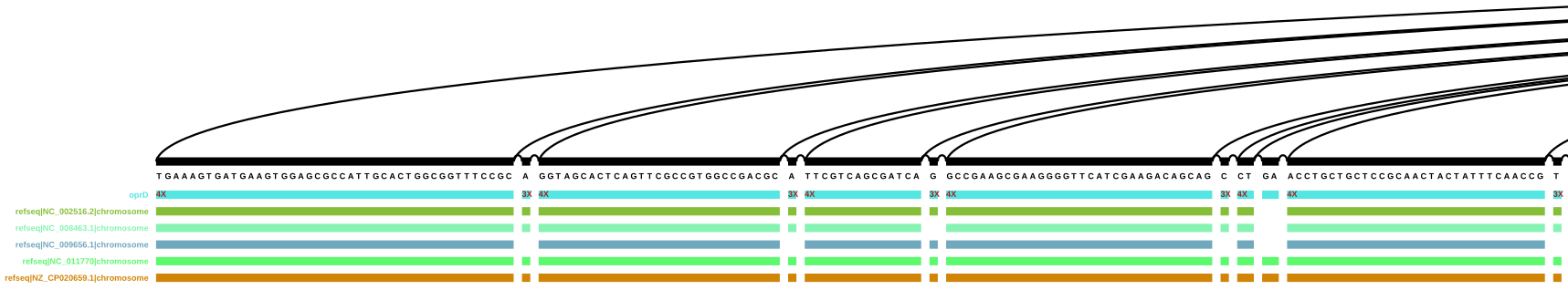 Start of the vg viz representation of a sub-graph with a merged oprD path