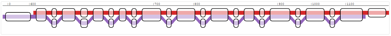 Sub-graph based on the path of ras1