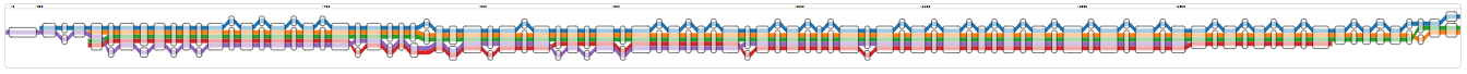 Start of the vg viz representation of a sub-graph with a merged oprD path