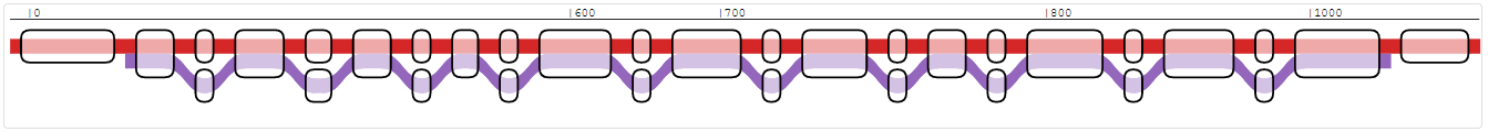 Sub-graph based on the path of tse6