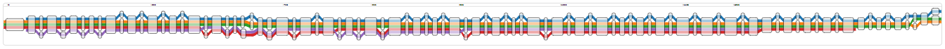 Start of the vg viz representation of a sub-graph with a merged oprD path